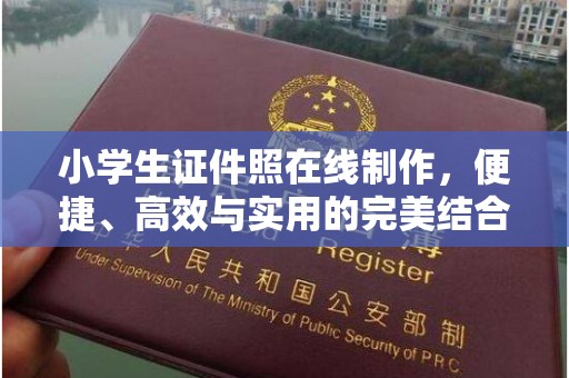 贵阳小学生证件照在线制作，便捷、高效与实用的完美结合
