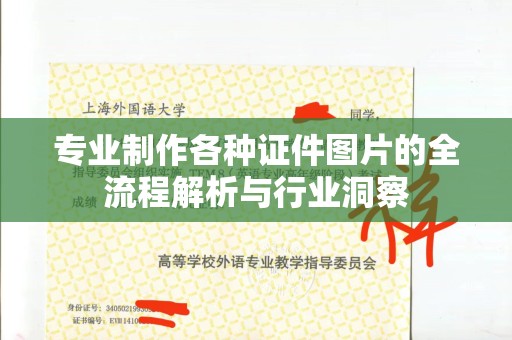 贵阳专业制作各种证件图片的全流程解析与行业洞察